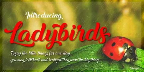 Ladybirds Free Download font