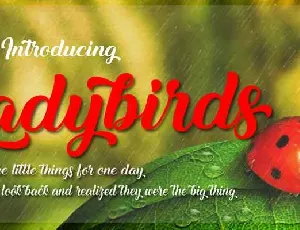 Ladybirds Free Download font