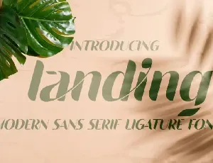 Landing Sans Serif font