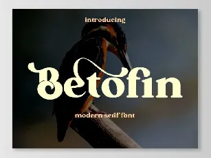 Betofin Serif font