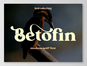 Betofin Serif font