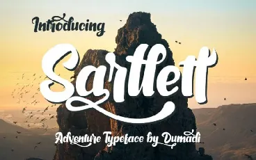 Sarllett Script font