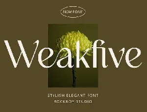 Weakfive font