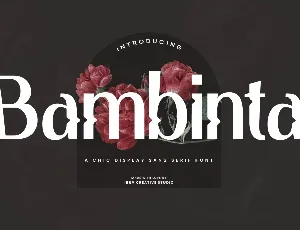 Bambinta Personal Use font