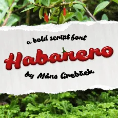 Habanero PERSONAL USE ONLY font