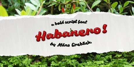 Habanero PERSONAL USE ONLY font