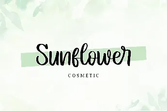 Springtime - Personal Use font