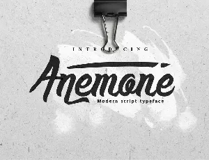 Anemone Script Free font