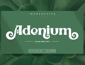 Adenium font