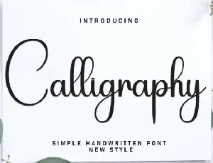 Calligraphy Script font