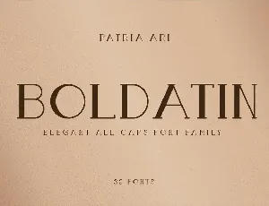 Boldatin font