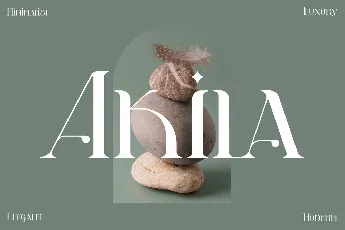 Akila Modern Display font