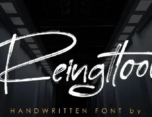 Reingttoon font