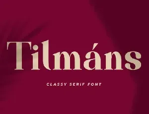 TilmÃ·ns Serif font