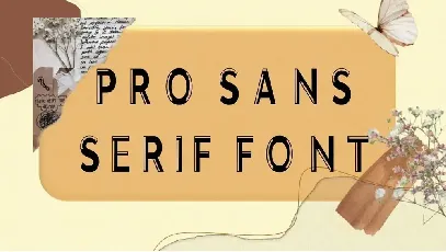 Pro Sans Serif font