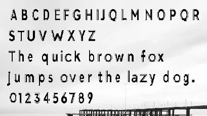 Pro Sans Serif font