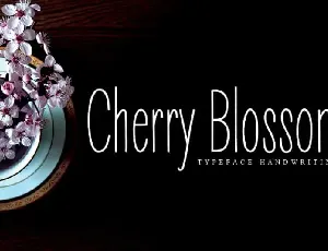 Cherry Blossom Display font