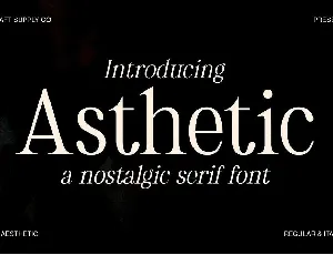 Asthetic font