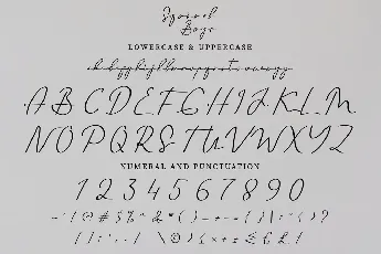 Squirel Boys Demo font