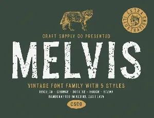 Melvis Vintage Family font