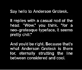 Anderson Grotesk Family font