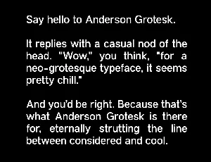 Anderson Grotesk Family font