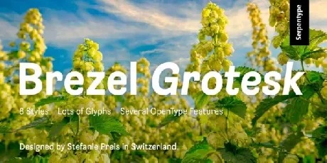 Brezel Grotesk Family font