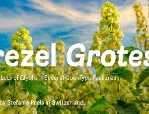 Brezel Grotesk Family font