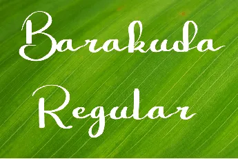 Barakuda font