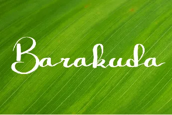 Barakuda font