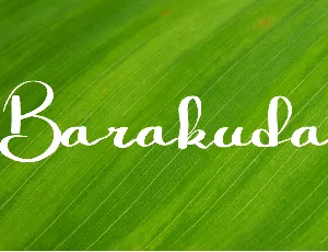 Barakuda font