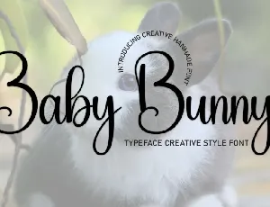 Baby Bunny Script font