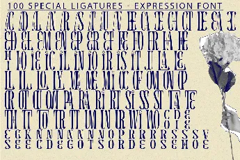 EXPRESSION DEMO font