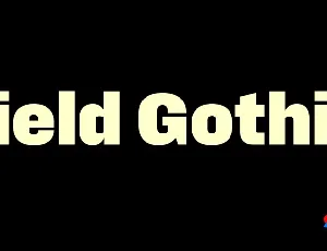 Field Gothic Family font