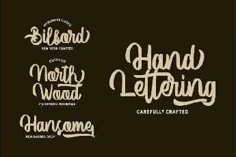 Vector Type Script Free font