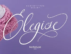 Elegise font