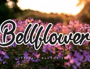 Bellflower Handwritten font