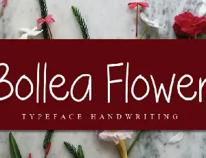 Bollea Flower Handwritten font