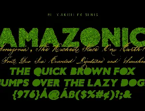 AMAZONIC PERSONAL USE font