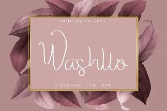 Washllo Demo font