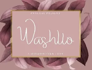 Washllo Demo font