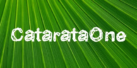 CatarataOne font