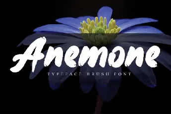 Anemone Brush font