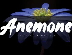 Anemone Brush font