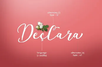 Declara Script Free font