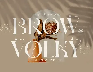 BROW VOLKY Serif font