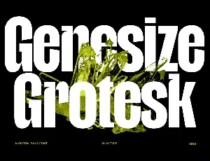 Genesize Grotesk Demo font