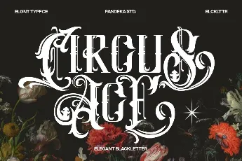 Circus Ace DEMO font