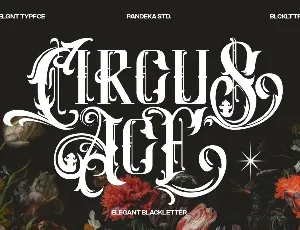 Circus Ace DEMO font