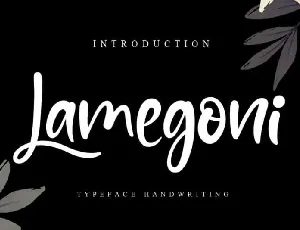 Lamegoni Script font